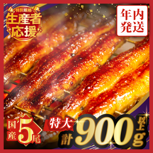 【年内発送】【数量・期間限定 特別規格】うなぎ蒲焼5尾(さんしょう・たれ付き)計900g以上 鰻 魚 魚介 加工品 国産_T026-0032-ZO-12 1294451 - 宮崎県都農町