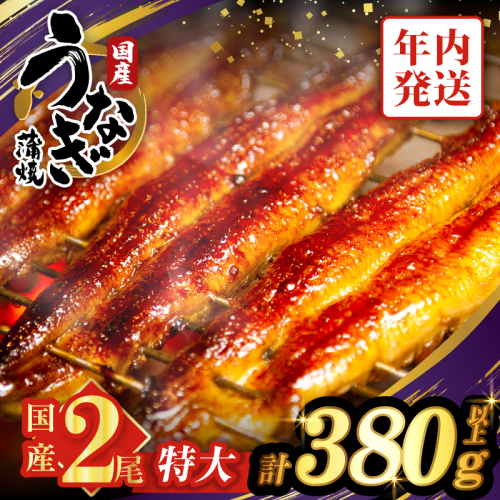 【年内発送】うなぎ蒲焼特大2尾(さんしょう・たれ付き)計380g以上 鰻 魚 魚介 加工品 国産_T026-0061-12 1294454 - 宮崎県都農町