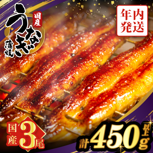 【年内発送】うなぎ蒲焼3尾(さんしょう・たれ付き)計450g以上 鰻 魚 魚介 加工品 国産_T026-014-12 1294456 - 宮崎県都農町