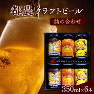 都農クラフトビール詰め合わせ6本セット 酒 アルコール 飲料 国産_T016-003