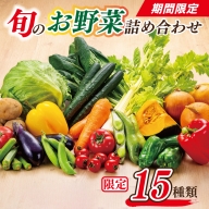 【期間限定】旬のお野菜詰め合わせ 15種類（+5種類）
