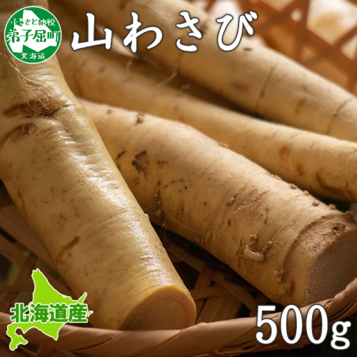 3166. 天然 山わさび 500g前後 産地直送 薬味 肉 BBQ バーベキュー 焼き肉 送料無料 北海道 弟子屈町 129579 - 北海道弟子屈町