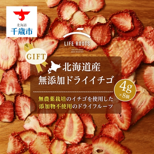 【ギフト用】《北海道産》無添加ドライイチゴ 129588 - 北海道千歳市