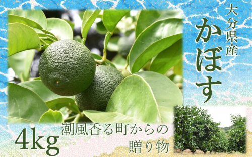 【令和7年9月初旬から発送】潮風香る町の贈り物 大分県産かぼす4kg_1816R 129636 - 大分県国東市