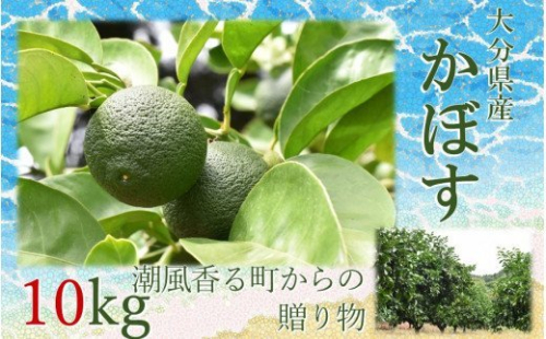 【令和7年9月初旬から発送】潮風香る町の贈り物 大分県産かぼす10kg_1817R 129637 - 大分県国東市