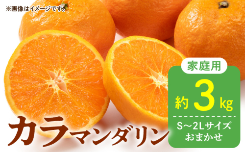 DZ6213_【2026年先行予約】秀品 カラマンダリン なつみ 和歌山 有田 秀品 S～2Lサイズ 大きさお任せ 約3kg 1296409 - 和歌山県湯浅町