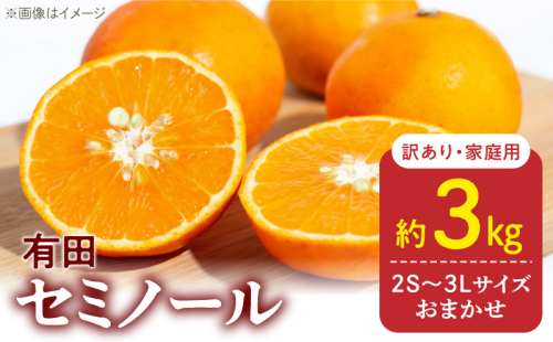 DZ6224_【2026年先行予約】訳あり 家庭用 きよみ 清美オレンジ 和歌山 有田 2S～3Lサイズ混合 3kg 1296432 - 和歌山県湯浅町