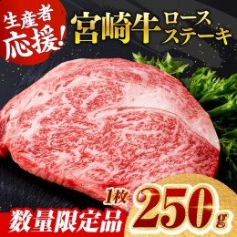 【ふるさと納税】《数量限定》宮崎牛ロースステーキ 1枚 (250g)【 肉 牛 牛肉 国産 黒毛和牛 ロース ステーキ】