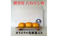 キタヤマ果樹園のたねなし柿　9～12個(2L～3L)オリジナル化粧箱入り(白箱)【1340656】