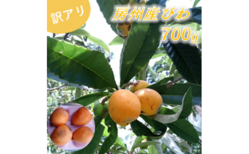 ＜訳あり＞館山の温暖な気候育ち 房州びわ 700g以上【1486469】