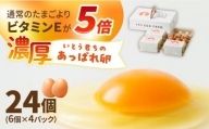 【うみたて新鮮】いとう君ちのあっぱれ卵 24個（6個×4パック）ギフトBOX /いとう養鶏場 [UAQ001]