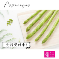 【先行受付 令和8年3月より発送】朝採りアスパラ定期便1kg×6回 【アスパラ アスパラガス グリーンアスパラガス モデル バーベキュー BBQ こだわり 採れたて 野菜 】(H013109)