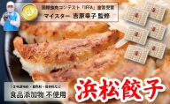 食品添加物不使用 マイスターが作った浜松餃子 108粒（18粒×6パック）