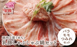【ふるさと納税】P04-05 乳豚 しゃぶしゃぶ鍋Ｂセット(バラ・モモ・つみれ)