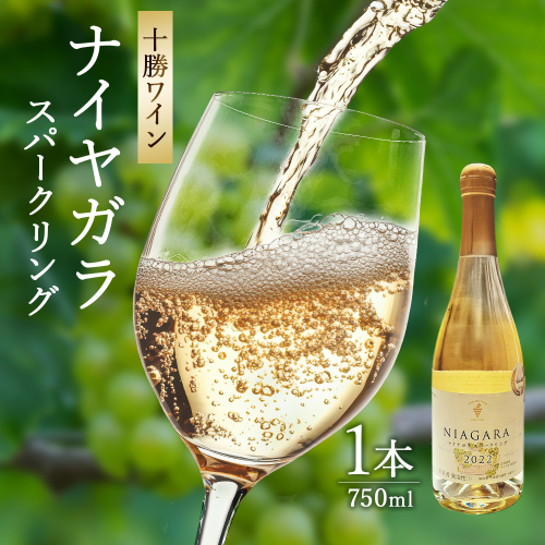 十勝ワイン ナイヤガラスパークリング 1本 1297871 - 北海道池田町