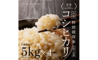 丹波コシヒカリ玄米特栽 20kg
