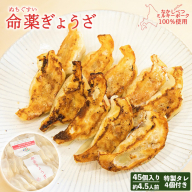 【なかしべつミルキーポーク100％使用】 樹苞 命薬ぎょうざ45個（約4.5人前）【5301301】