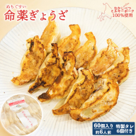 【なかしべつミルキーポーク100％使用】 樹苞 命薬ぎょうざ60個（約6人前）【5301401】