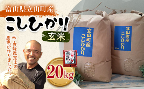 【先行予約】 米 富山県立山町産 こしひかり 玄米 10kg×2袋 計20kg 保存用唐辛子付き 横山ファーム 富山県 立山町 F6T-479 1298228 - 富山県立山町