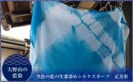 大野山の藍染　空色の藍の生葉染めシルクスカーフ　正方形（約50センチ×50センチ）＜出荷時期：2024年8月1日～2024年10月31日＞【 スカーフ 神奈川県 山北町 】