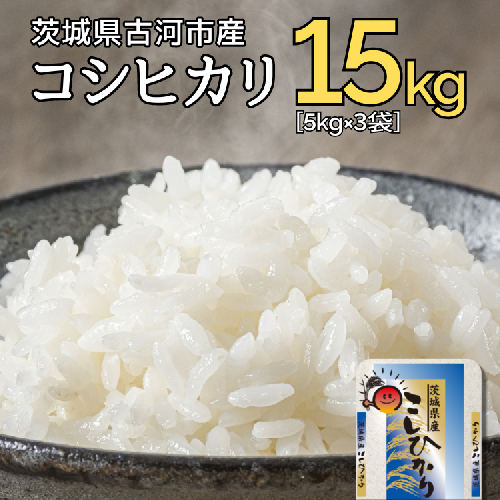 【新米】令和7年産 古河市産コシヒカリ 15kg（5kg×3袋） | 米 こめ コメ 15キロ こしひかり コシヒカリ 古河市産 茨城県産 贈答 贈り物 プレゼント 茨城県 古河市 直送 産地直送 送料無料 ※2025年9月上旬頃より順次発送予定 _DP21 1298544 - 茨城県古河市