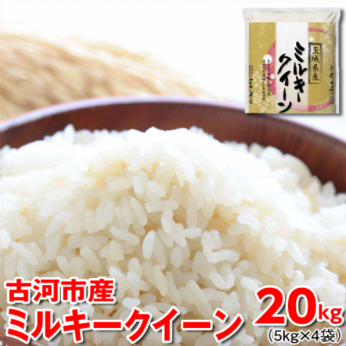 【新米】令和7年産 古河市産 ミルキークイーン 20kg（5kg×4袋） | 米 こめ コメ 20キロ ミルキークイーン みるきーくいーん 古河市産 茨城県産 贈答 贈り物 プレゼント 茨城県 古河市 直送 産地直送 送料無料 ※2025年9月中旬頃より順次発送予定 _DP25 1298574 - 茨城県古河市