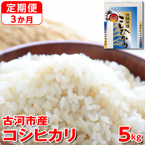 【定期便 3か月】【新米】令和7年産 古河市産コシヒカリ 5kg | 米 こめ コメ 5キロ 定期便 こしひかり コシヒカリ 古河市産 茨城県産 贈答 贈り物 プレゼント 茨城県 古河市 直送 産地直送 送料無料 _DP34 1298693 - 茨城県古河市