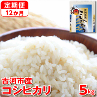 【定期便 12か月】【新米】令和7年産 古河市産コシヒカリ 5kg ｜ 米 こめ コメ 5キロ 定期便 こしひかり コシヒカリ 古河市産 茨城県産 贈答 贈り物 プレゼント 茨城県 古河市 直送 産地直送 送料無料 _DP36