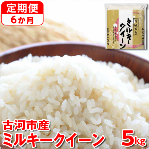 【定期便 6か月】【新米】令和7年産 古河市産ミルキークイーン 5kg | 米 こめ コメ 5キロ 定期便 ミルキークイーン みるきーくいーん 古河市産 茨城県産 贈答 贈り物 プレゼント 茨城県 古河市 直送 産地直送 送料無料 _DP38 1298700 - 茨城県古河市