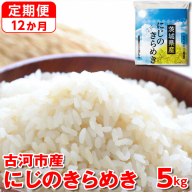 【定期便 12か月】【新米】令和7年産 古河市産にじのきらめき 5kg ｜ 米 こめ コメ 5キロ 定期便 虹のきらめき にじきら 古河市産 茨城県産 贈答 贈り物 プレゼント 茨城県 古河市 直送 産地直送 送料無料 _DP42