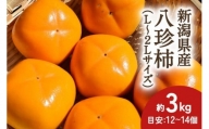 【2024年先行予約】新潟県産 八珍柿 約3kg 種なし柿 刀根早生《10月上旬～順次発送》