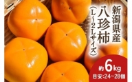【2024年先行予約】新潟県産 八珍柿 約6kg 種なし柿 刀根早生《10月上旬～順次発送》