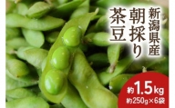 【2024年先行予約】新潟県産 朝採り 茶豆 約1.5kg《8月中旬～順次発送》