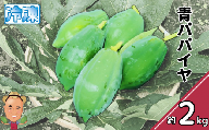青パパイヤ　2kg（冷凍）【パパイヤ 青パパイヤ 野菜 パパイン 酵素 栄養 スーパーフード ビタミン 栄養豊富】