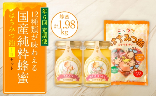 【定期便 年6回 奇数月】蜂蜜165g×12種類が味わえる+蜂蜜あめ袋 1299162 - 熊本県八代市
