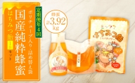 【定期便 年4回】【厳選】ポリチューブ蜂蜜＆詰め替え袋+蜂蜜あめ袋