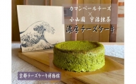 【京都チーズケーキ博物館】カマンベールのニューヨークチーズケーキ（抹茶）