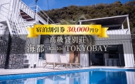 貸別荘「海都 -kaito- TOKYOBAY」宿泊割引券 30,000円分