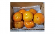 柳フルーツ園の富有柿 約2kg【1456563】