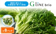 G Line brio レタス8パックセット【1121142】