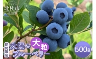 【大粒】山梨県産（明野産）生果　ブルーベリー500g