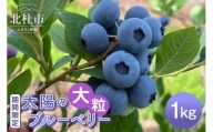 【大粒】山梨県産（明野産）生果　ブルーベリー1000g