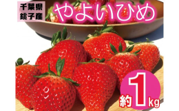 こだわりの土壌で作った新鮮な朝摘みの「やよいひめ」約1kg千葉県銚子市松岸の「神原いちご園」で栽培した朝摘みの「やよいひめ」を新鮮な状態でお届け！土づくりにこだわり、植物性堆肥と有機肥料100%の土壌