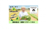 『PAKUCI SISTERS』の新鮮パクチー 1kg【1497692】