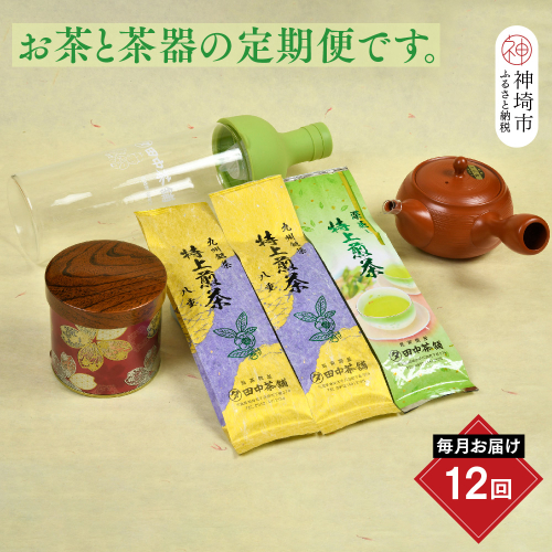 【毎月お届け12回】特上煎茶八重100g2本と季節の茶100g1本(急須付き) 【定期便 九州 お茶 緑茶 急須 フィルターインボトル 定期便】(H047113) 130231 - 佐賀県神埼市