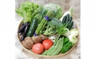 【12月発送】産直の新鮮野菜！旬の野菜ボックス【毎月6セット限定】