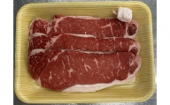 岡山県産 牛 サーロインステーキ 450g （150g×3枚）_A46