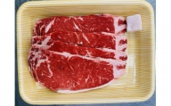 岡山県産 牛 サーロインステーキ 600g （150g×4枚）_A48