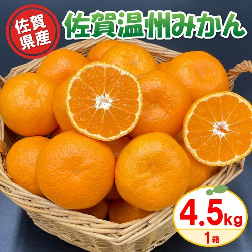 【令和4年11月より発送】佐賀温州みかん(1箱 4.5kg)【フルーツ 佐賀 佐賀県産 早生みかん 温州みかん ギフト 贈答 プレゼント】 (H072107) 130301 - 佐賀県神埼市