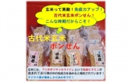 (G37) 第一回石岡セレクト認証商品　古代米玄米ポンせん(１０枚入り)４種類１２袋セット